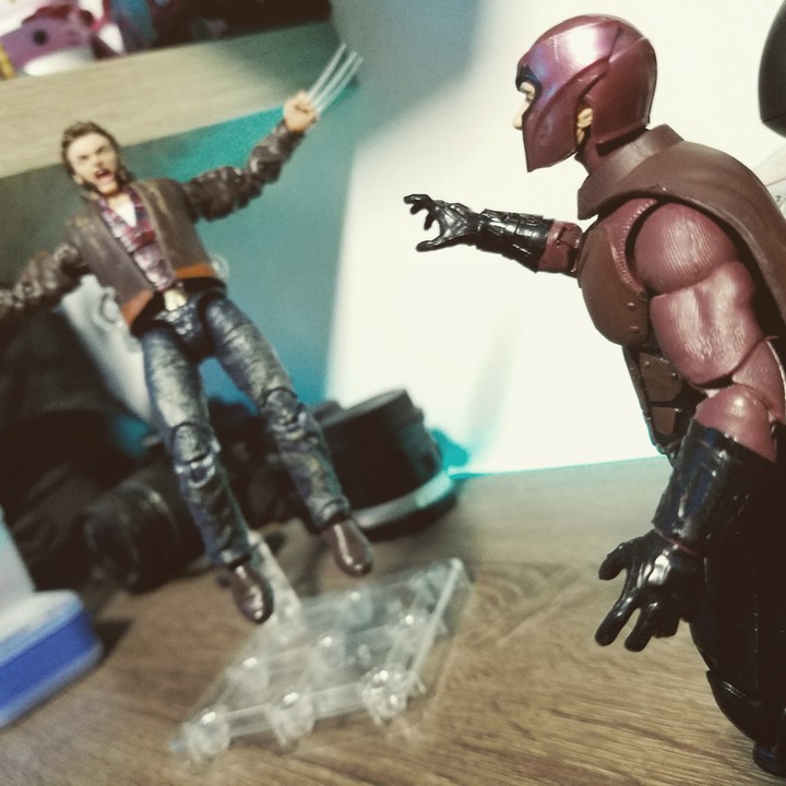 wolverine