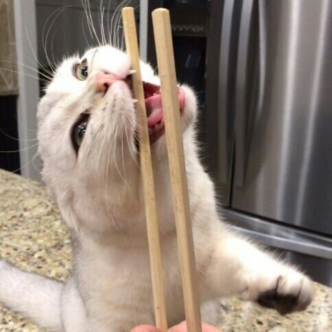 мр