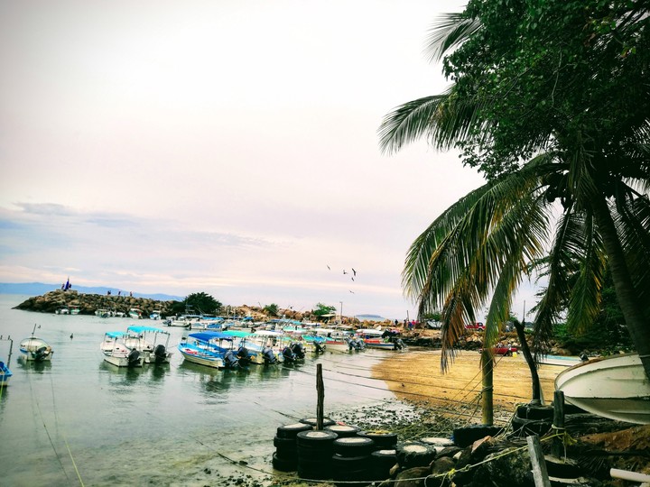 Punta de mita
