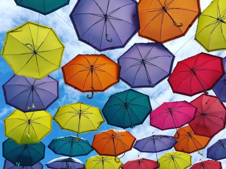 Life Couldn’t Be More Colourful!