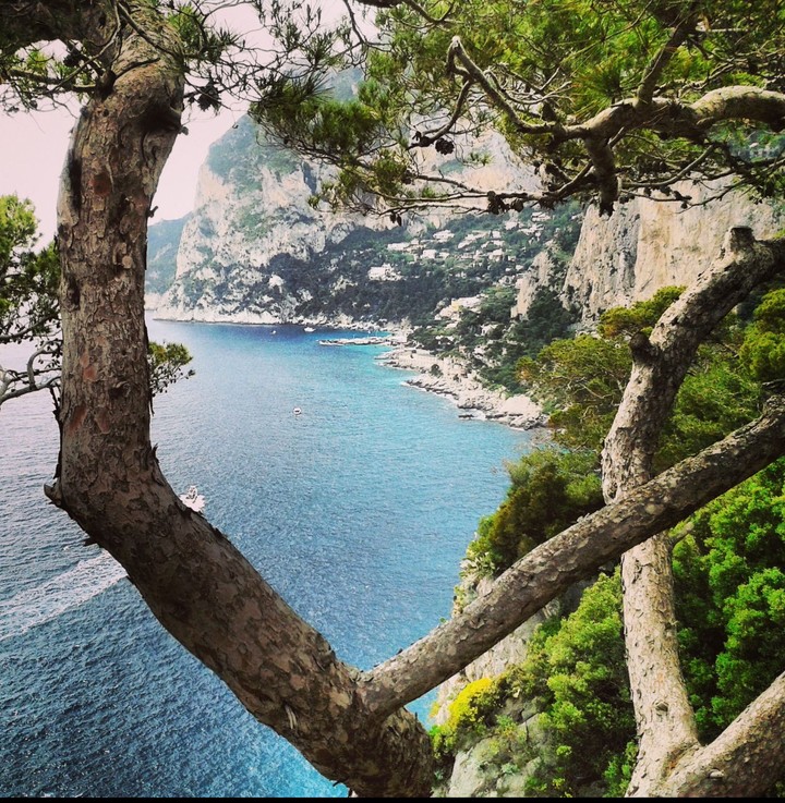 capri