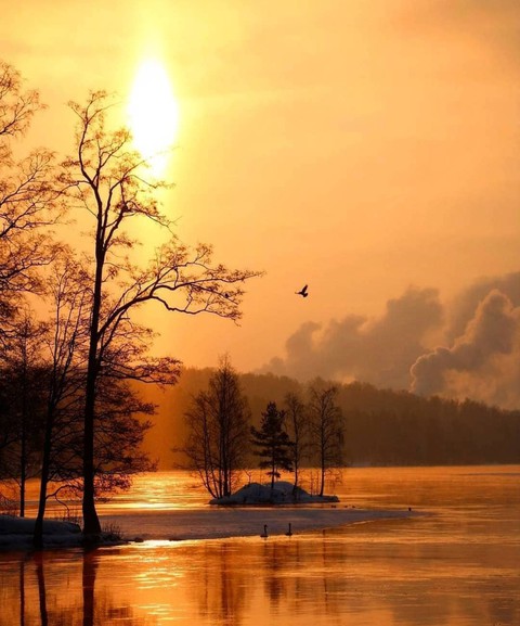 nature