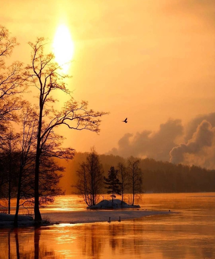 nature