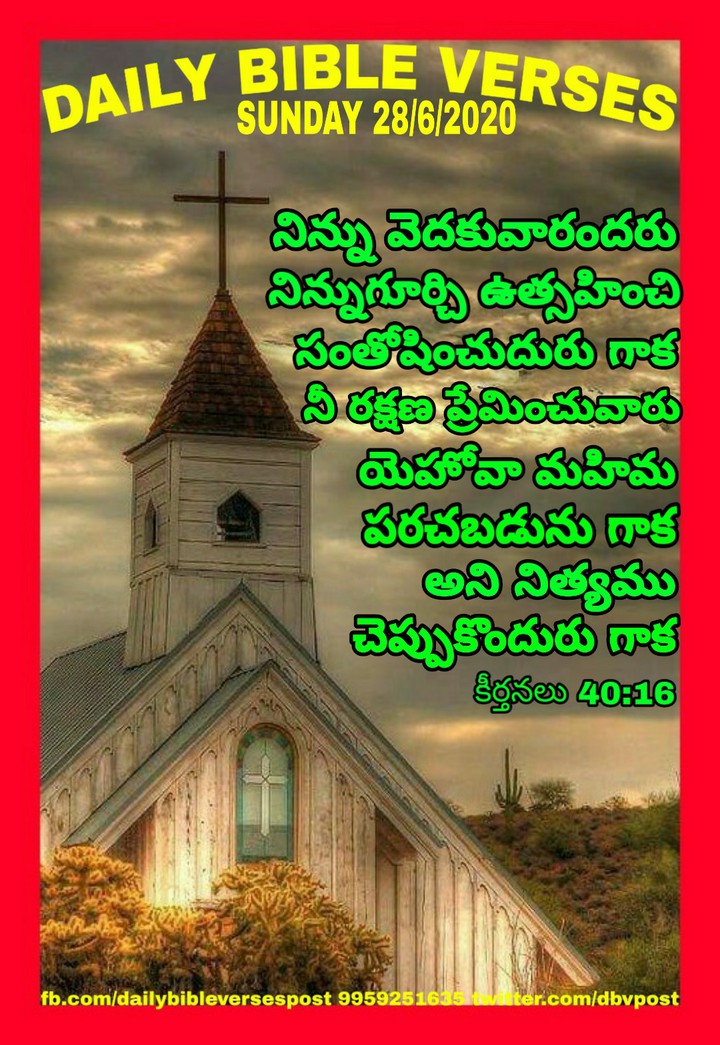 Daily Bible Verses