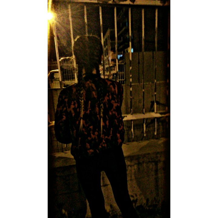 insan