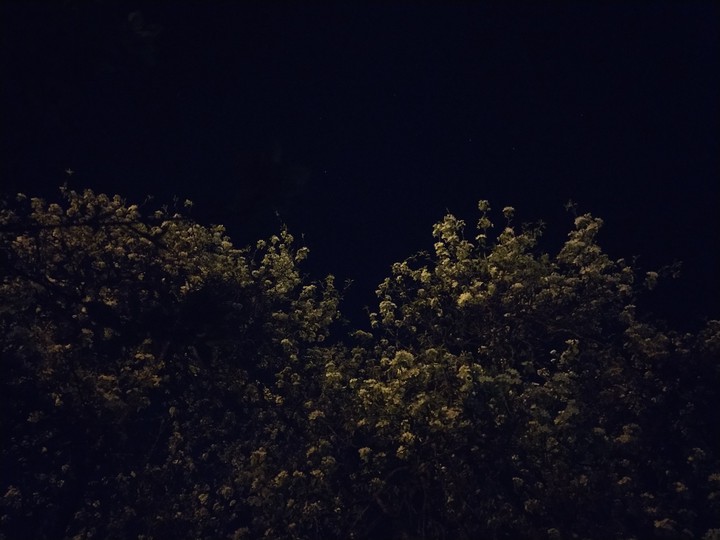 Night