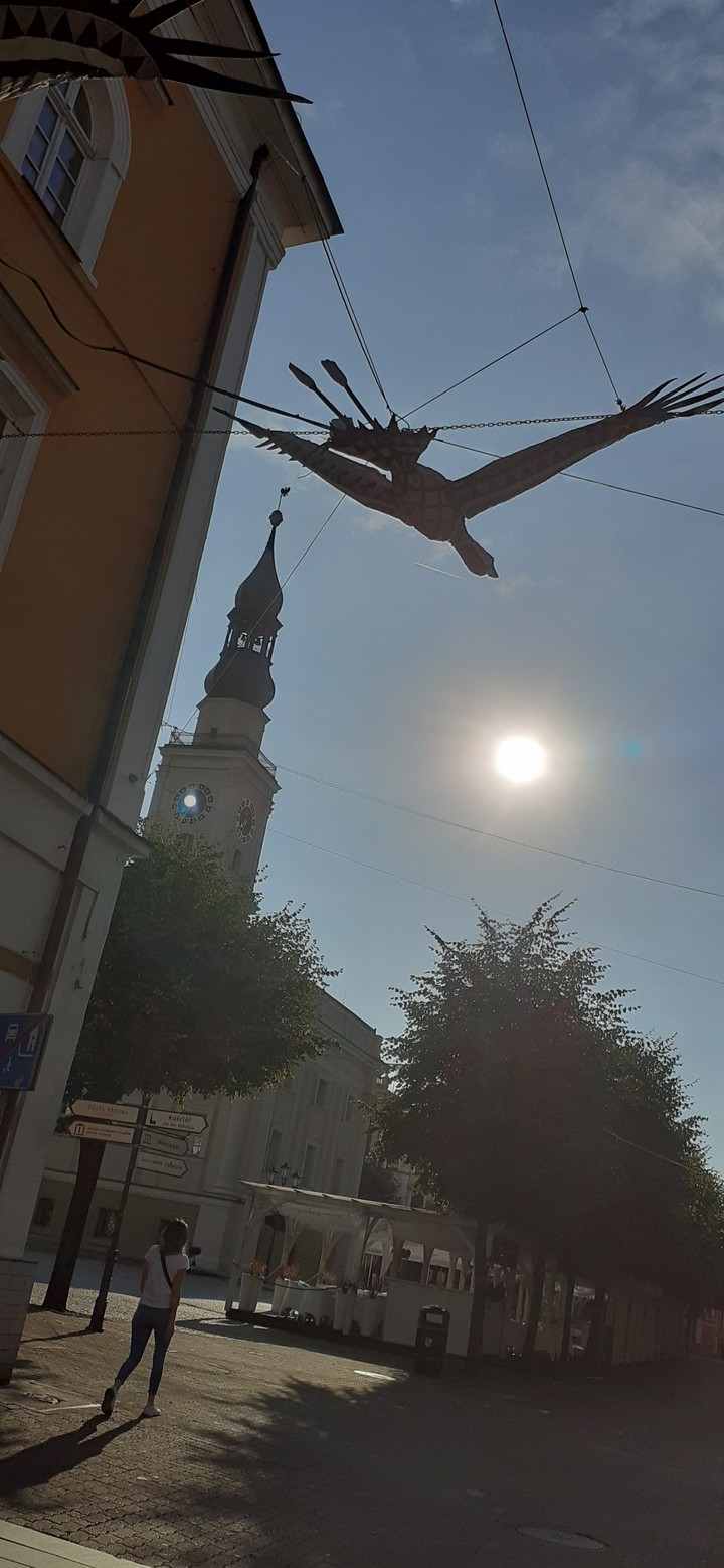 W Lesznie