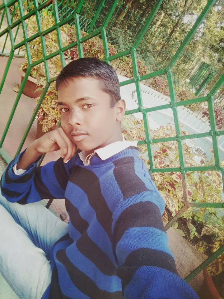 sifa