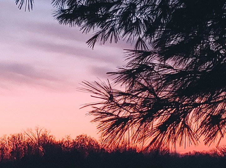 Thursday's Sunrise
