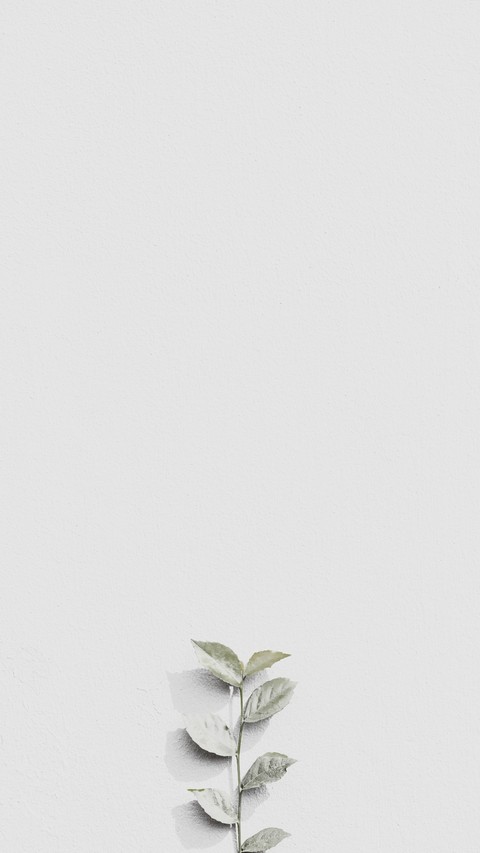 Backgrounds, wallpaper桌布