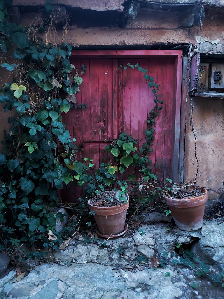 Door