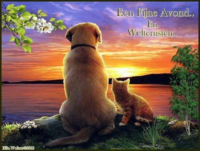 dieren