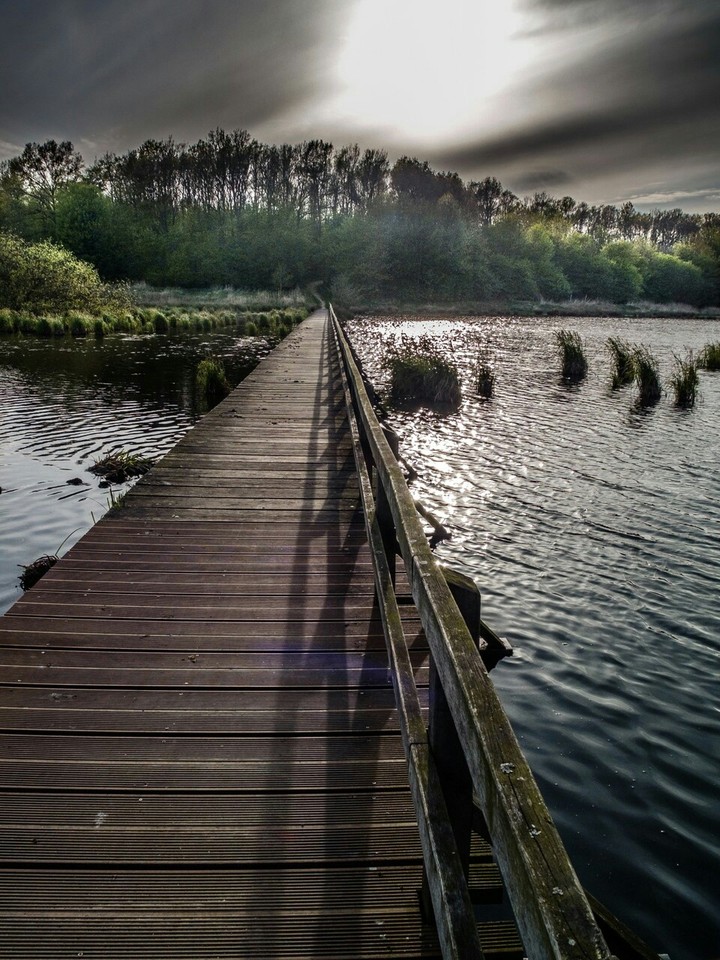 호수다리
