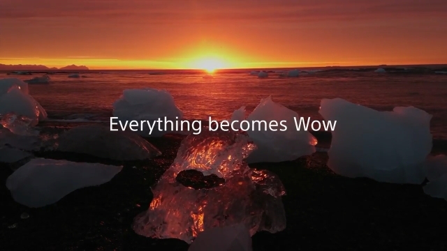 Everything Becomes Wow
