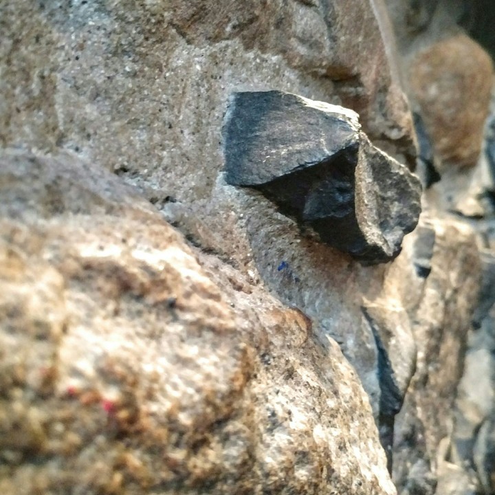 Cobblestone Beauty