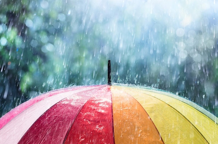 Summer Rain