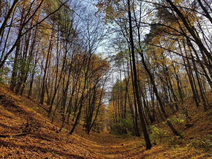 The autumn pass