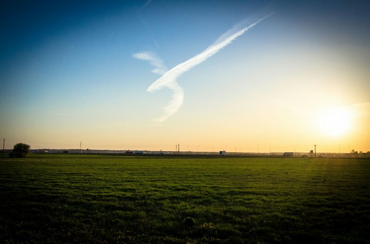 Bird like cloud