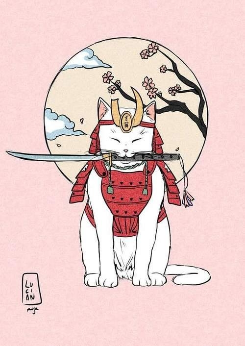 котэ