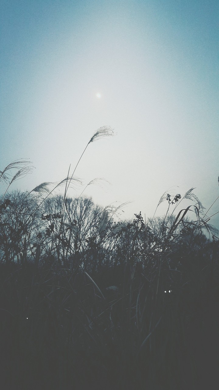 where is my love?