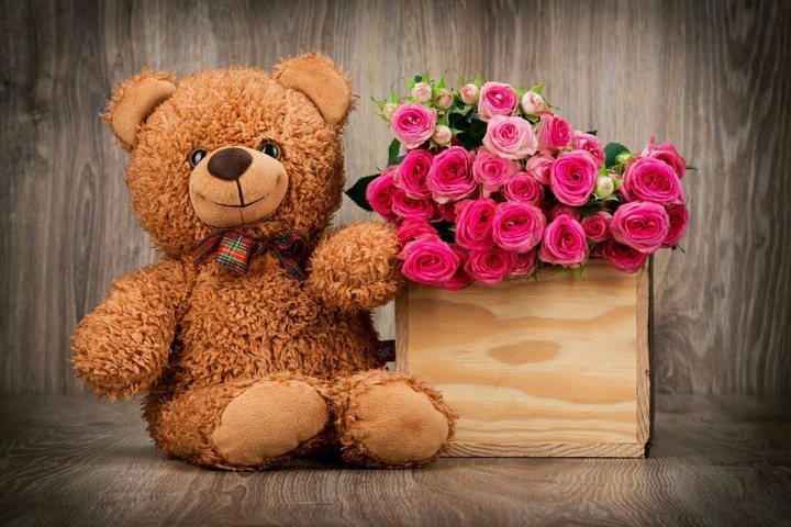 Teddy Bear
