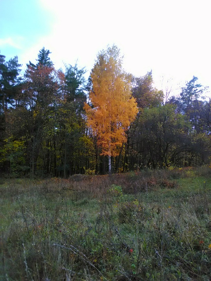 Осень