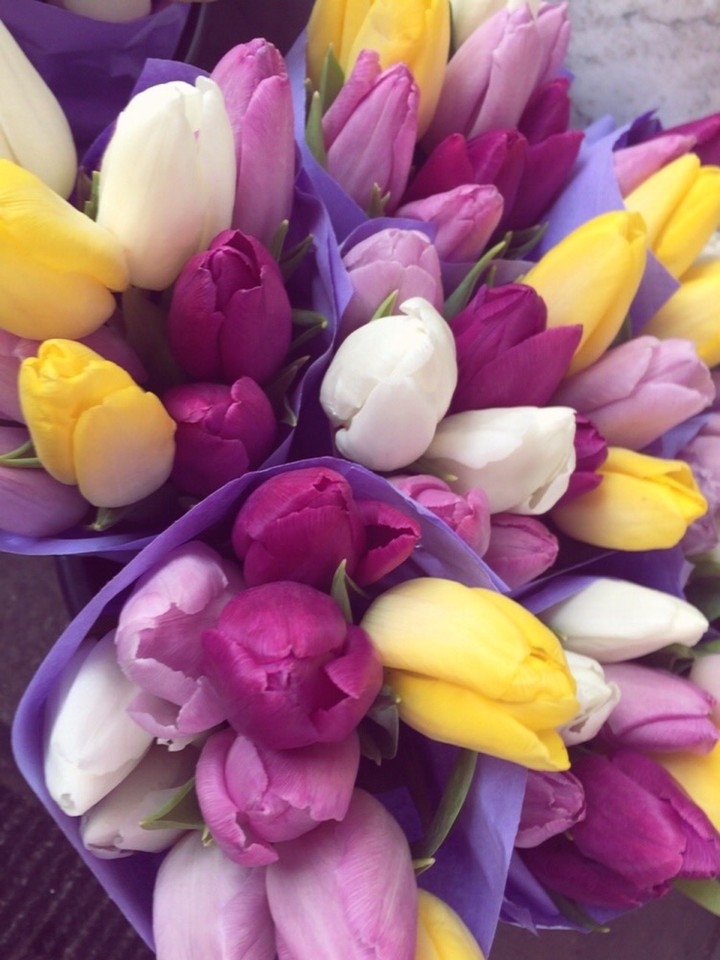 flowers