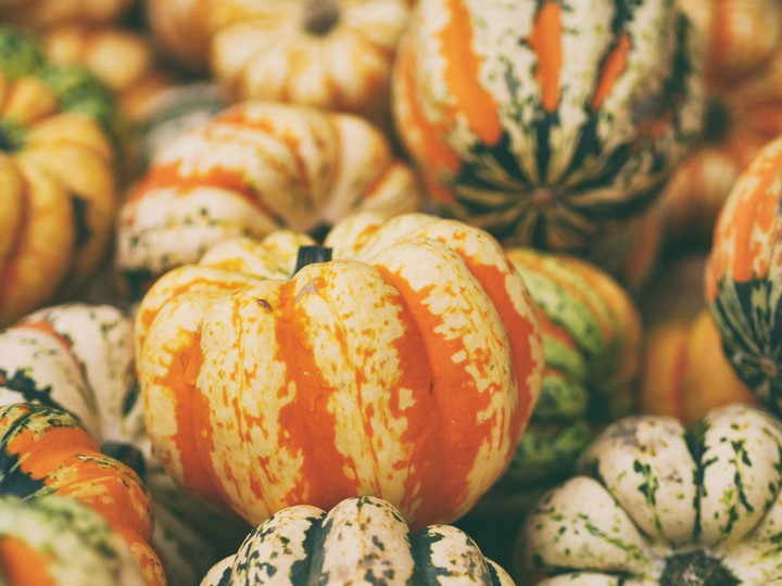 pumpkins