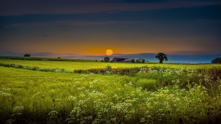 Beauty of Nature