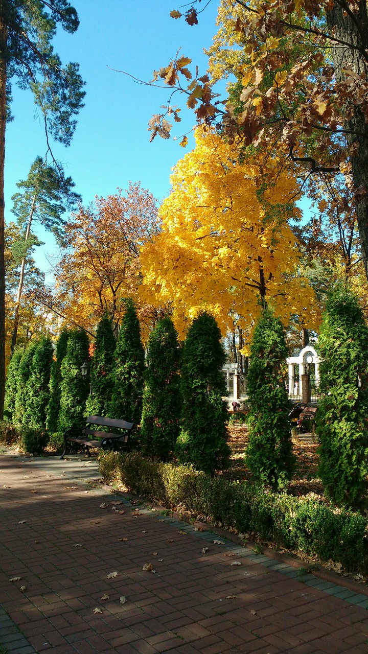 autumn park