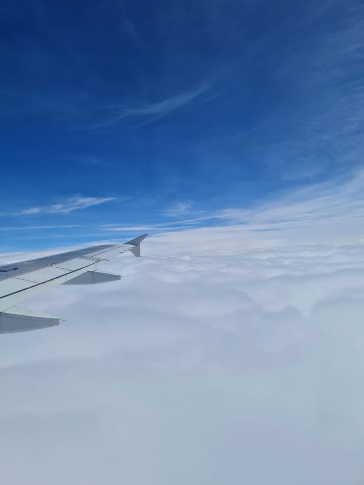 airplane