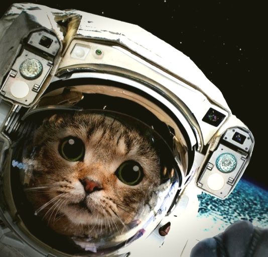 Interstellar