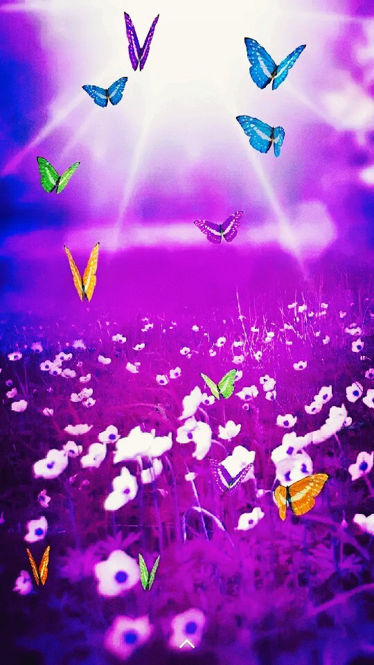 sp