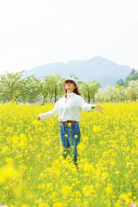 ταπετσαρίες Yellow, meadow