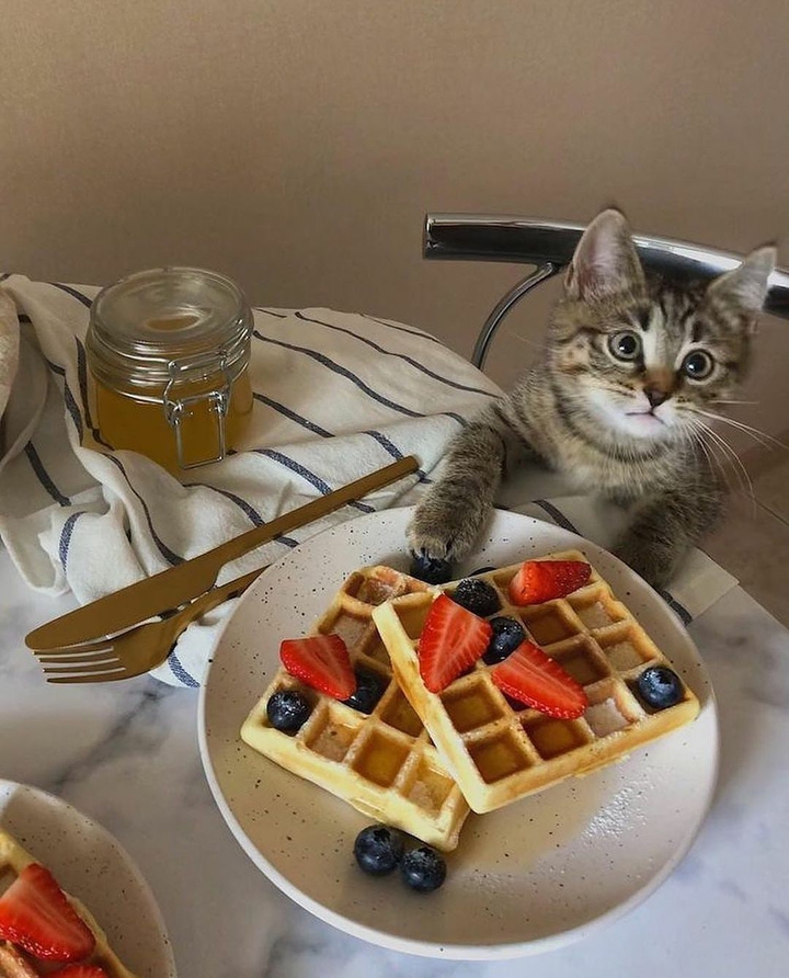 waffles