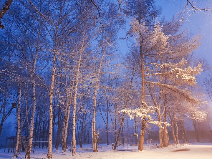 Winter
