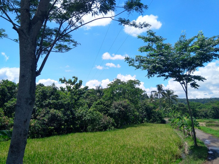 back to nature