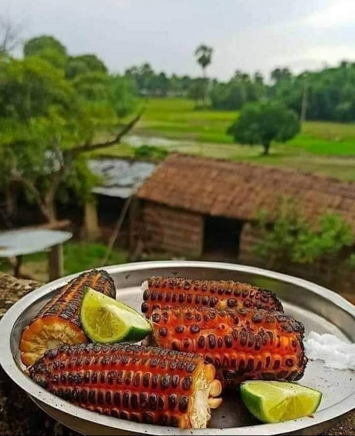 corn