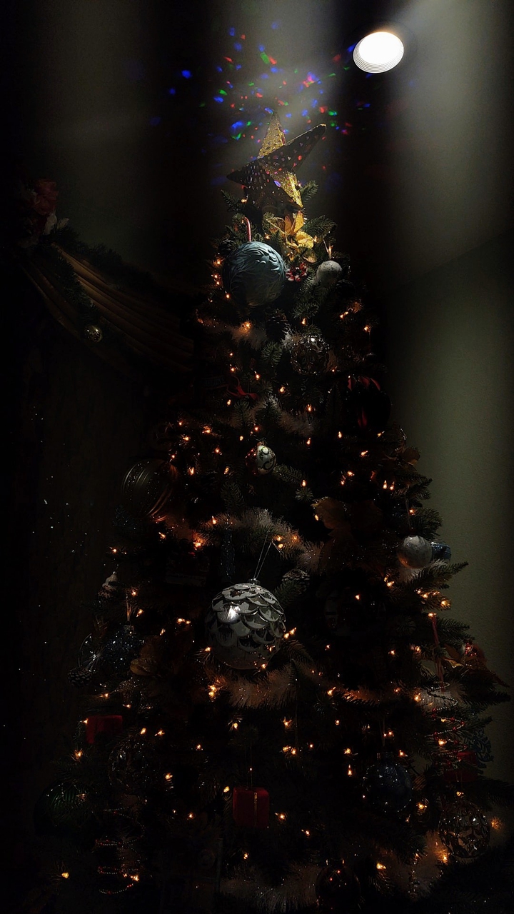Our tree, in the dark.