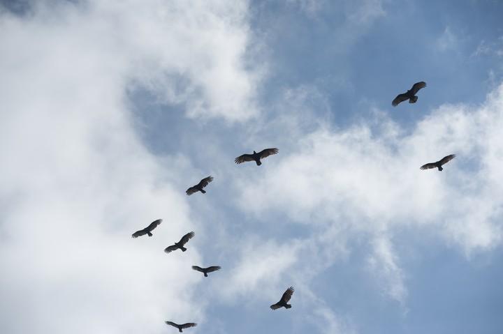 Sky