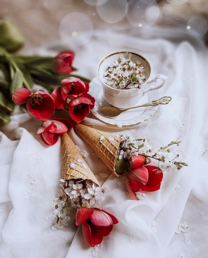 Lovely mood ❤️