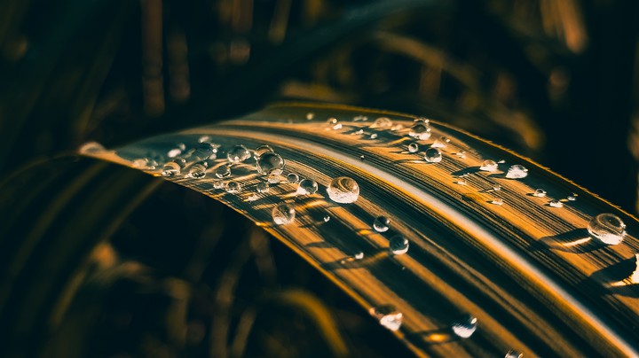 after rainfall