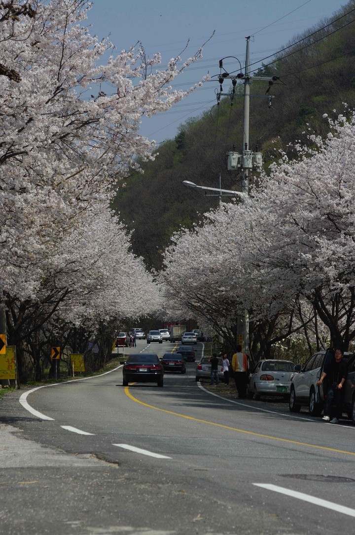 Spring