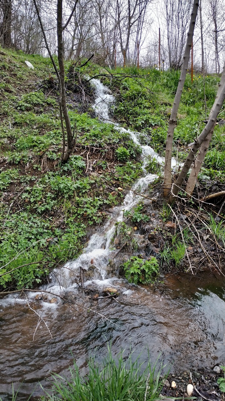 kanal suyu