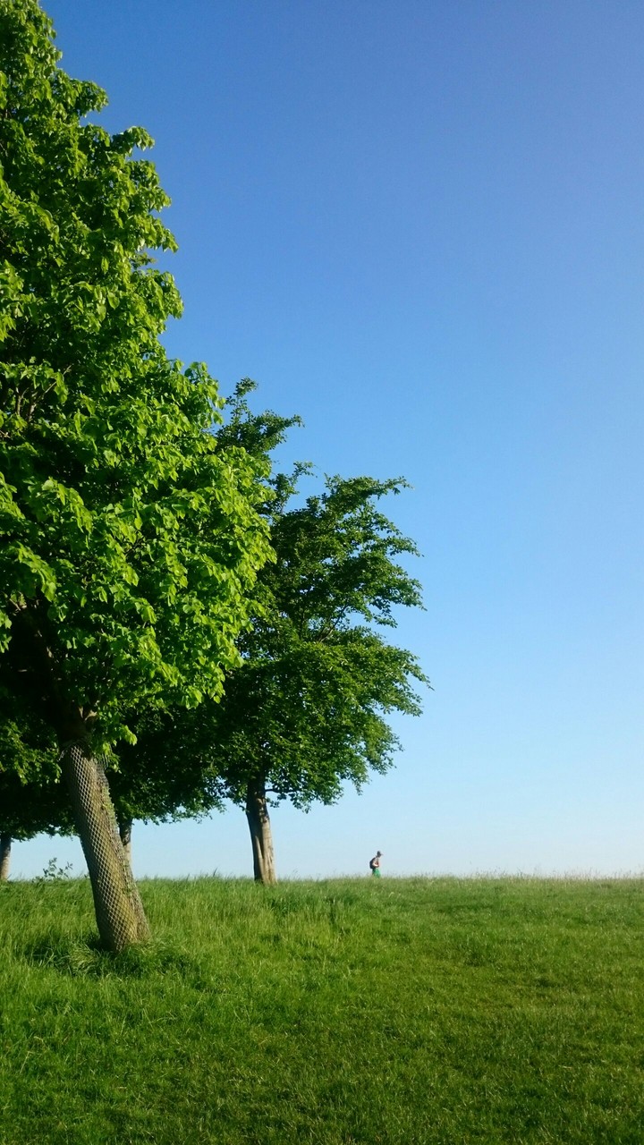 The lonely traveller