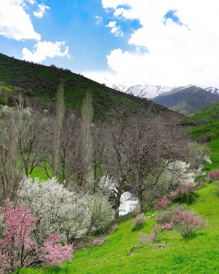 Kordestan Nature