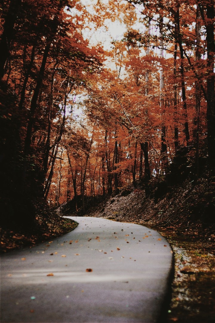 bast nature