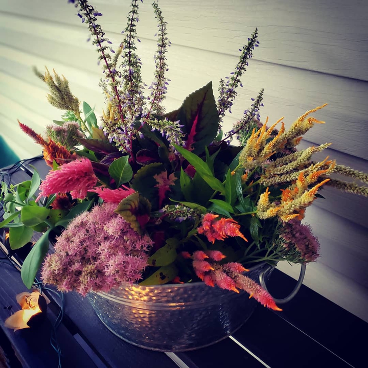 Fall Harvest