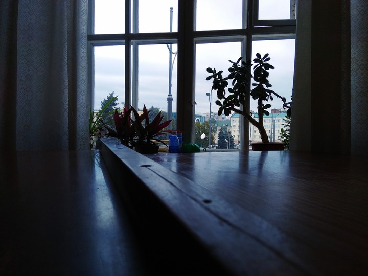window