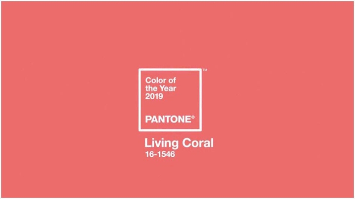Color Of The Year 2019